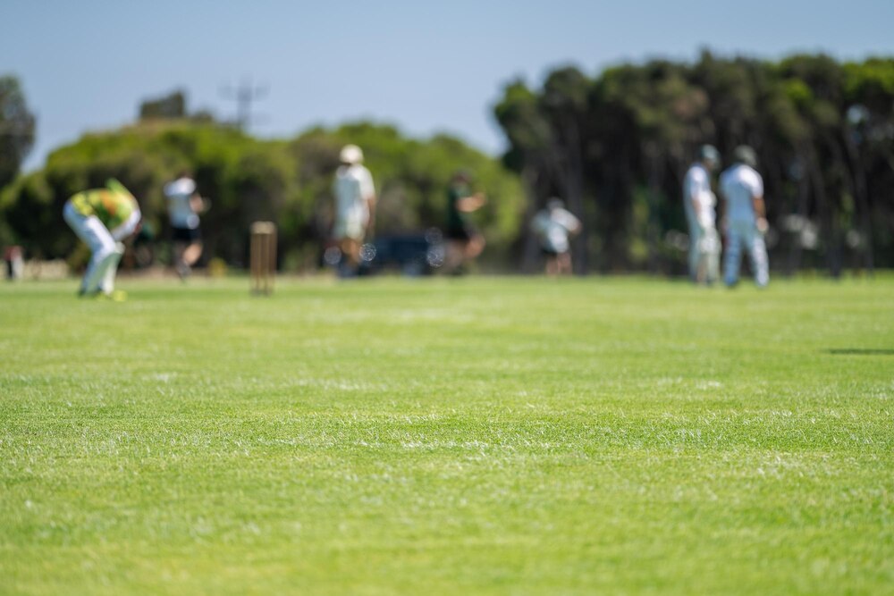 Live Scoring Updates